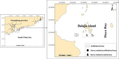 Taxonomic diversity and eco-exergy changes in fishery resources associated with artificial reefs over 14 years in Daya Bay, China